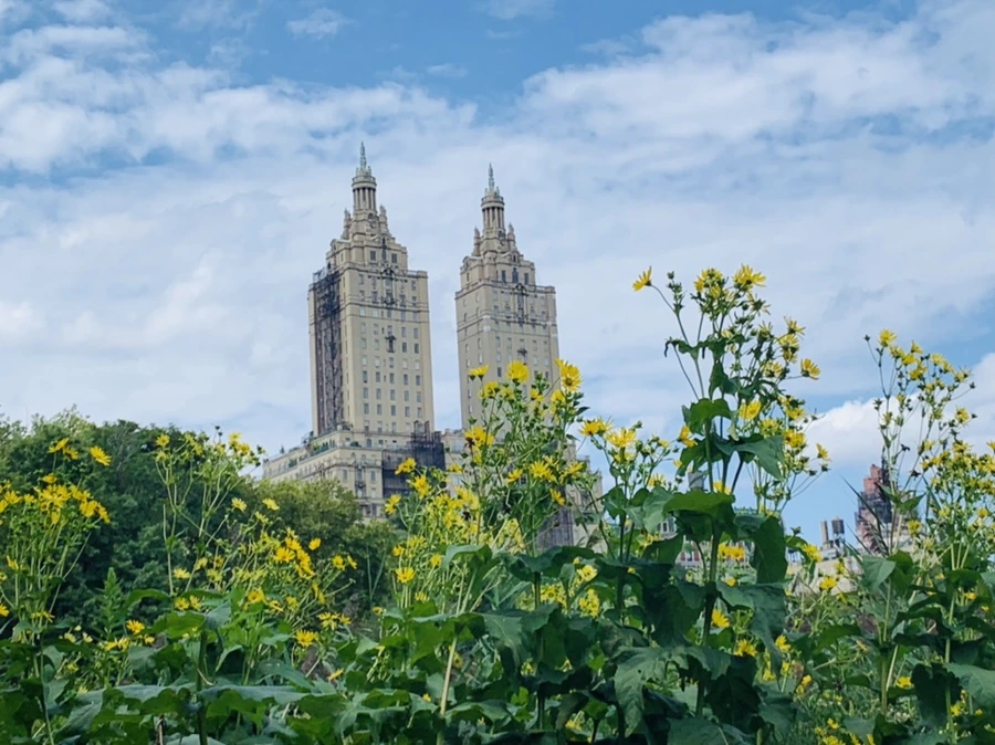 IMG_1582.jpg?type=w966