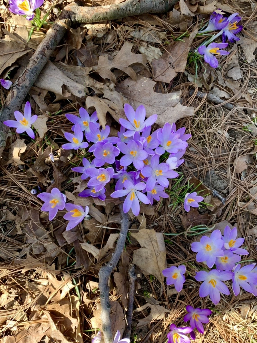 IMG_9673.jpg?type=w966