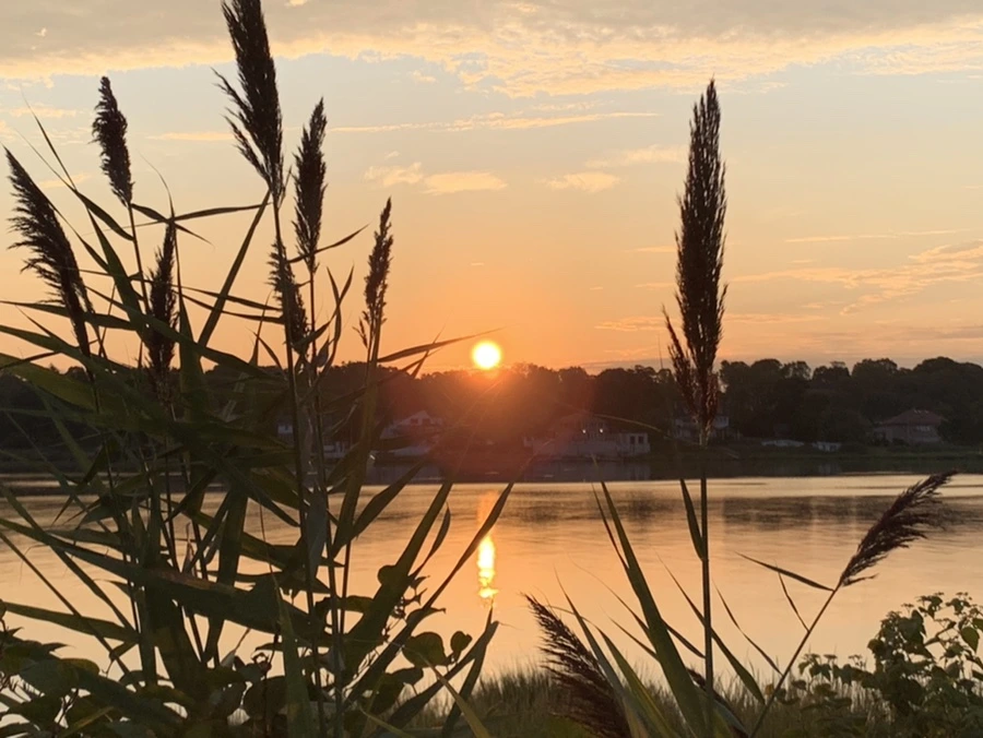 IMG_1282.jpg?type=w966