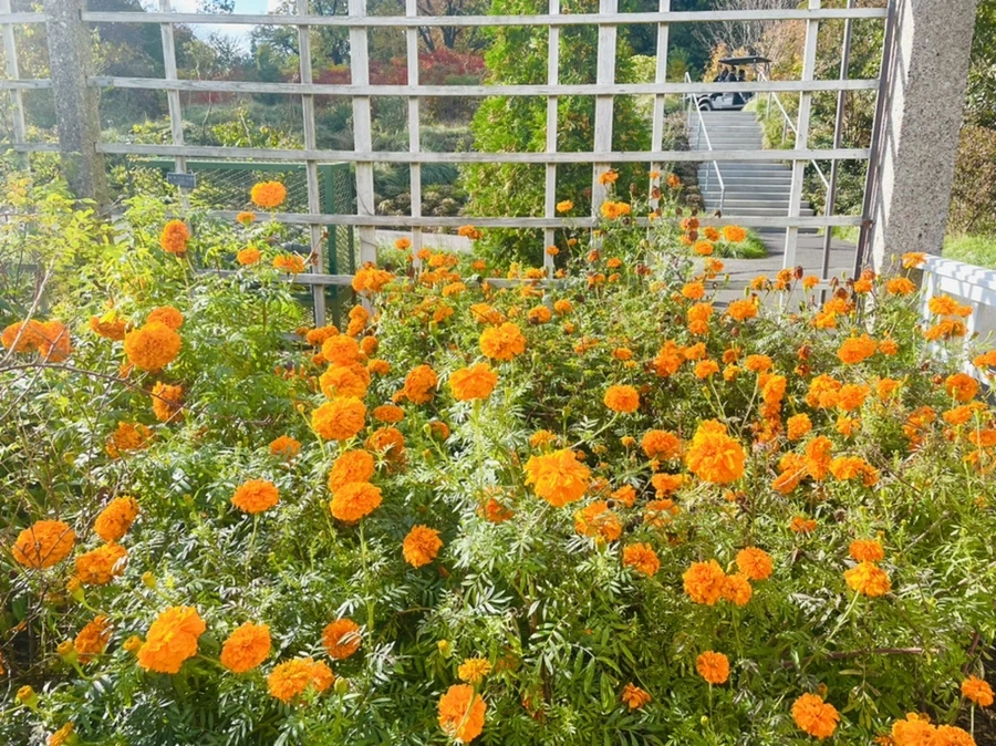 IMG_0141.jpg?type=w966