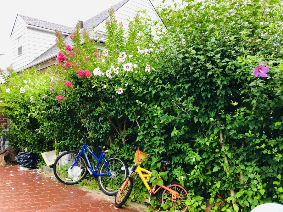 IMG_3200.jpg?type=w966