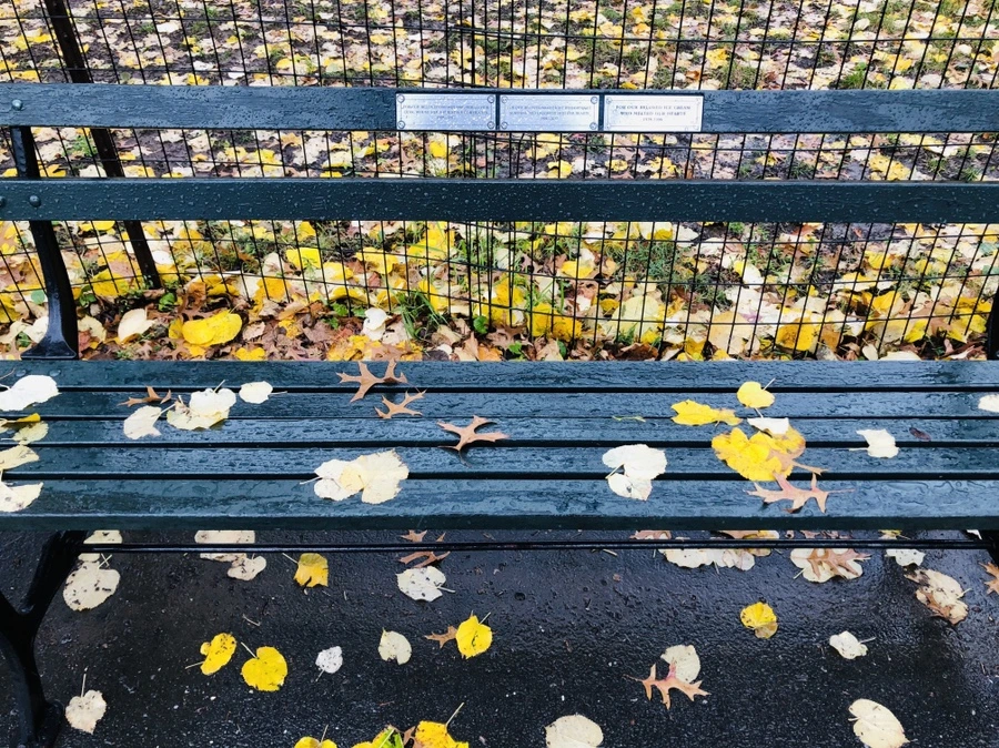 IMG_5734.jpg?type=w966