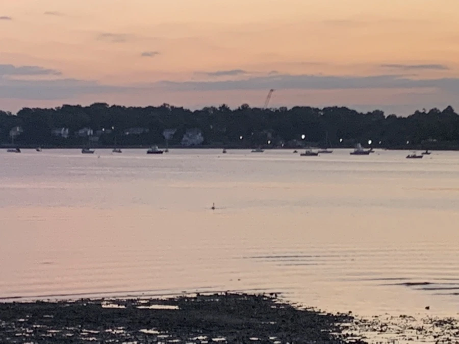 IMG_8719.jpg?type=w966