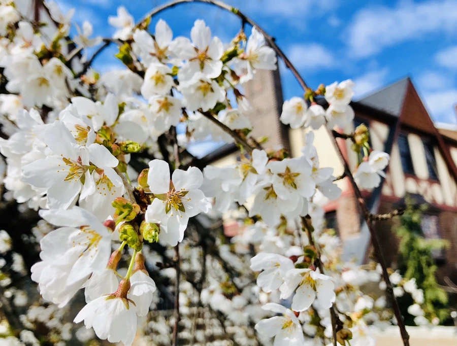 IMG_6590.jpg?type=w966