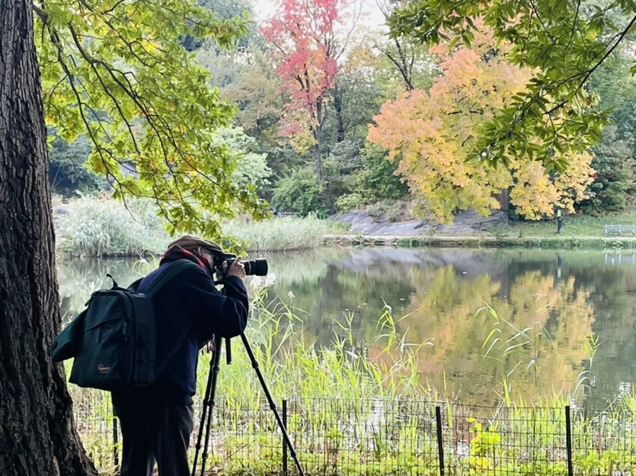 IMG_1295.jpg?type=w966