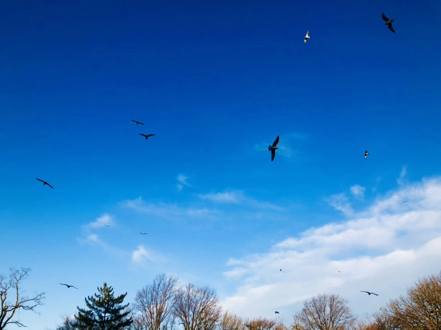 IMG_0851.jpg?type=w966