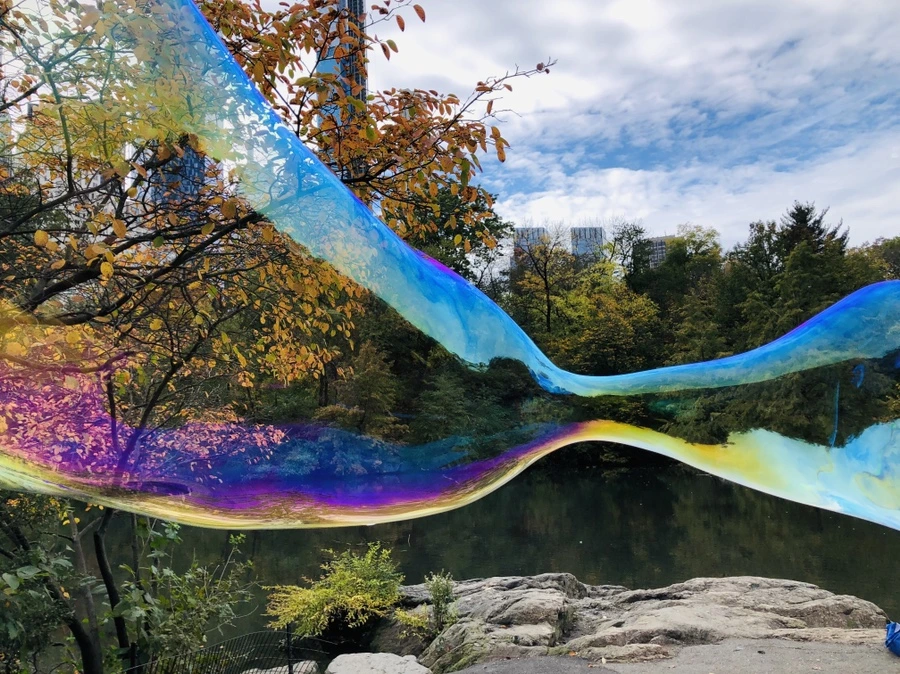 IMG_3106.jpg?type=w966