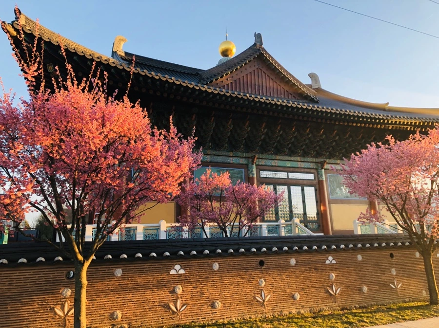 IMG_6326.jpg?type=w966