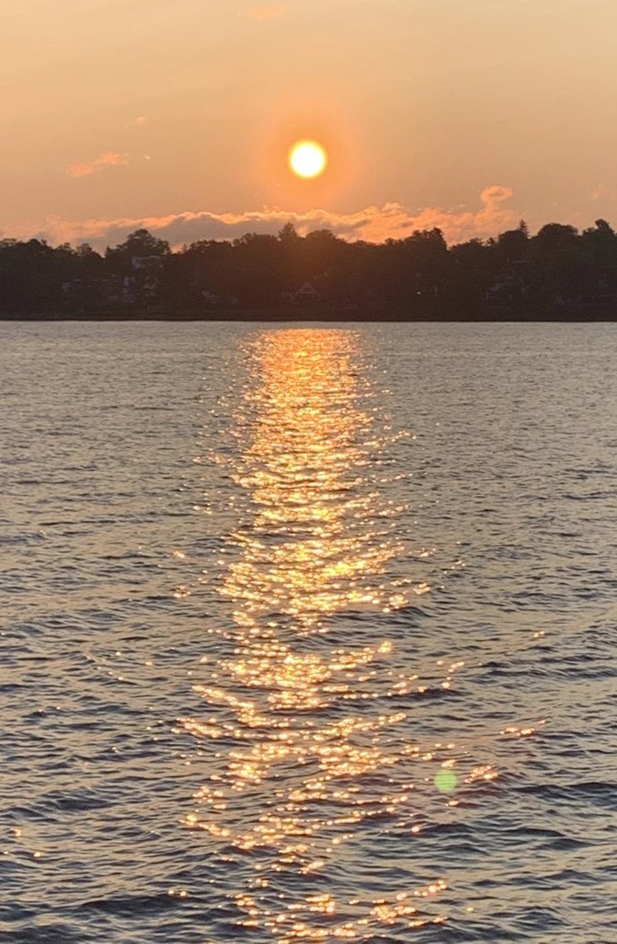 IMG_5514.jpg?type=w966