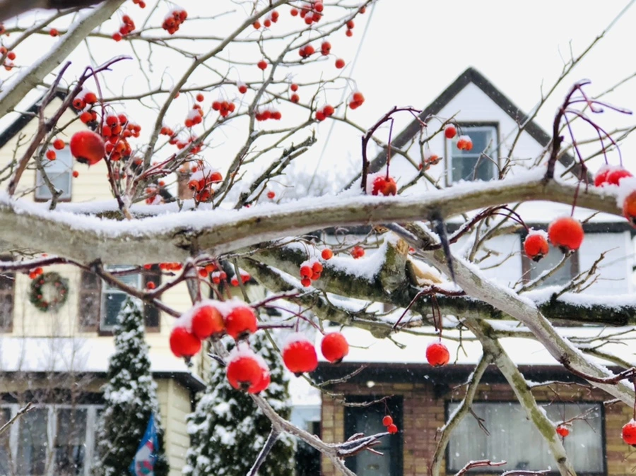 IMG_3538.jpg?type=w966