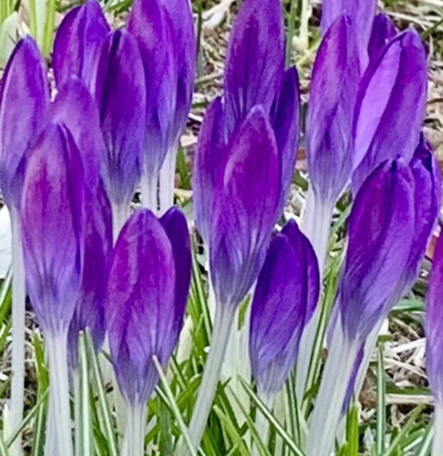 IMG_0758.jpg?type=w966