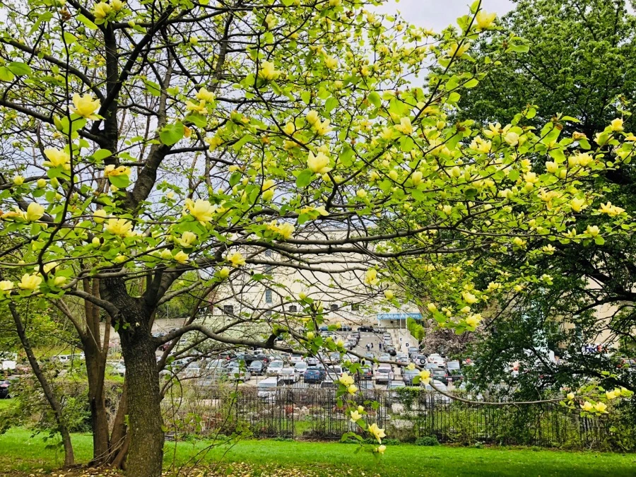 IMG_5548.jpg?type=w966