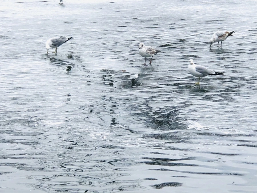 IMG_5999.jpg?type=w966