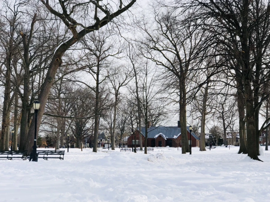 IMG_1662.jpg?type=w966