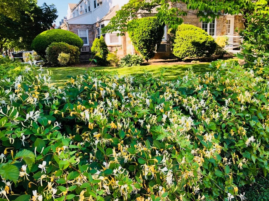 IMG_6984.jpg?type=w966