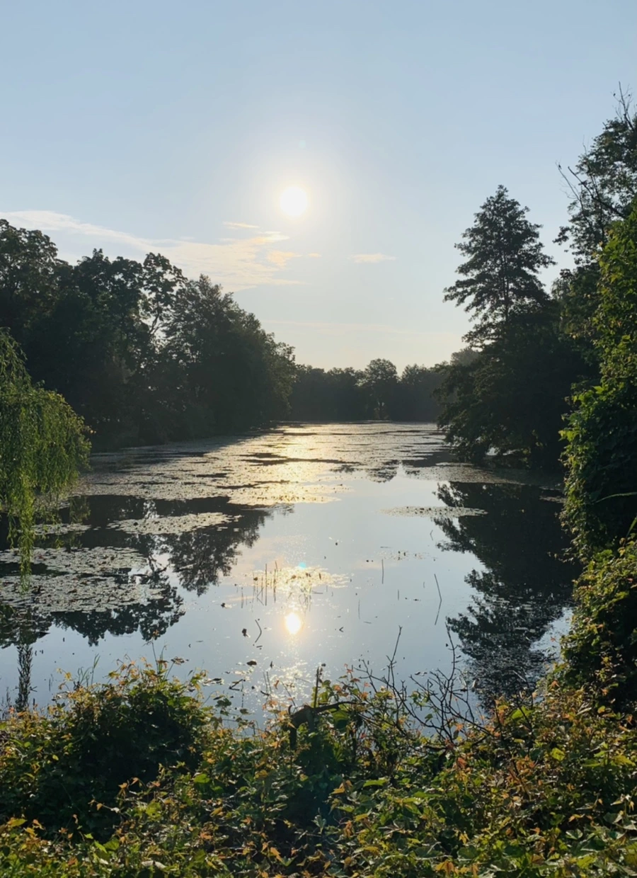 IMG_4305.jpg?type=w966