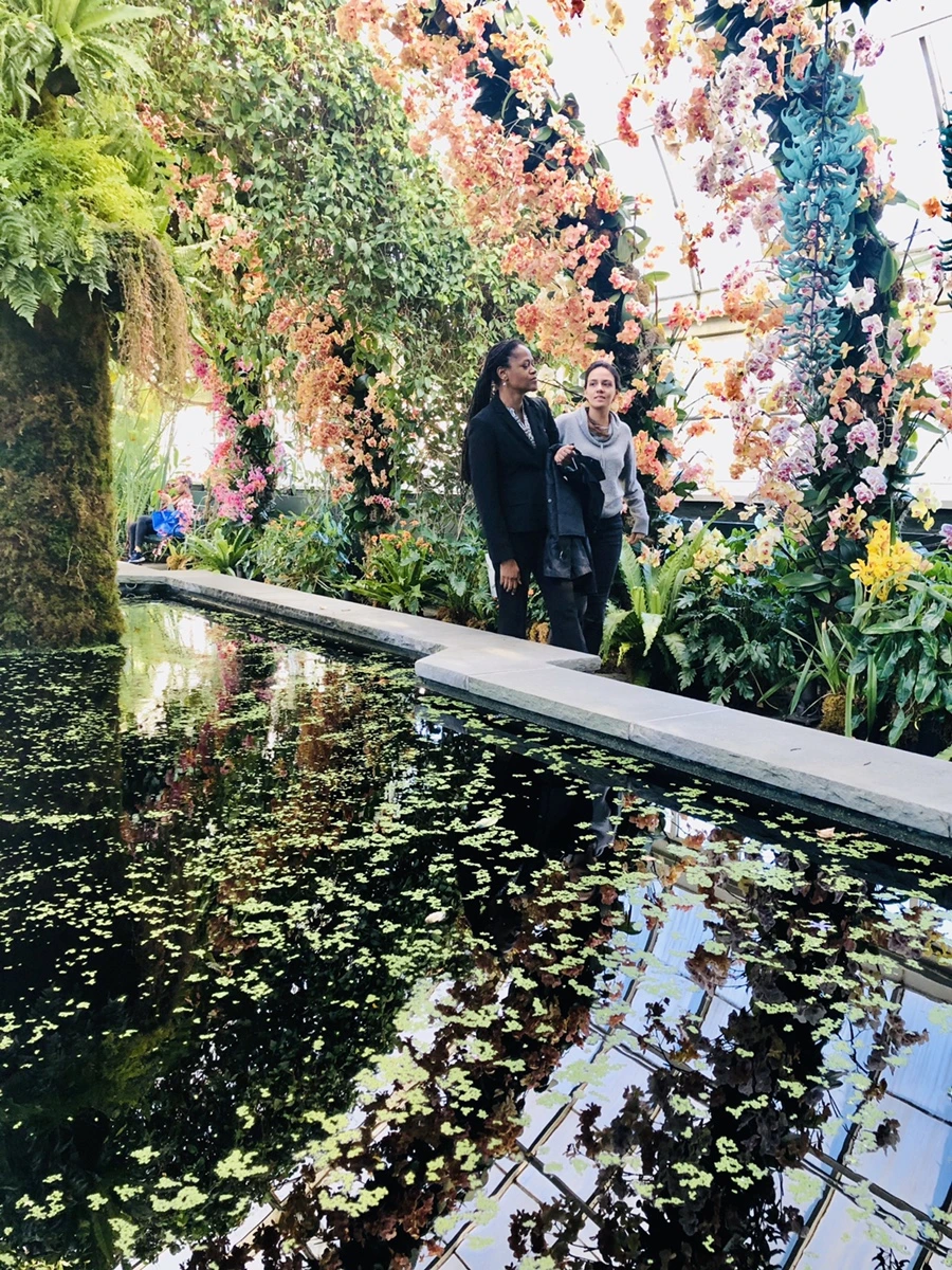 IMG_6312.jpg?type=w966