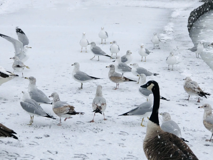 IMG_4177.jpg?type=w966