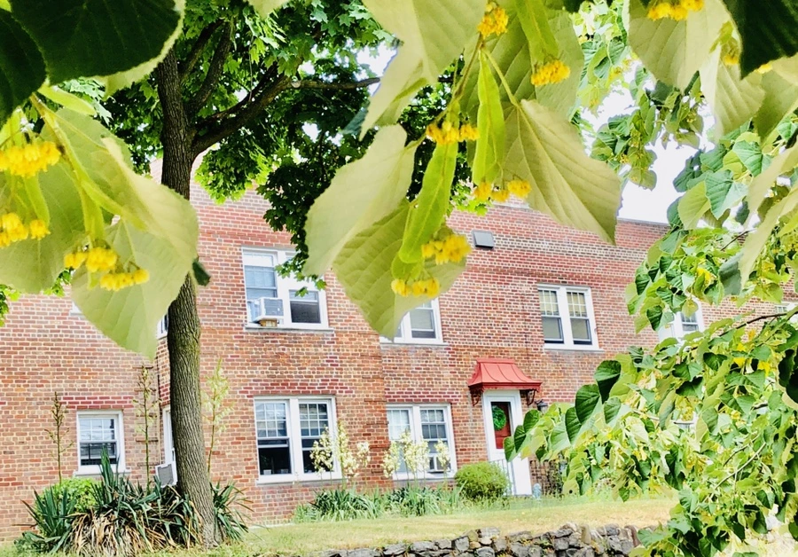 IMG_0582.jpg?type=w966