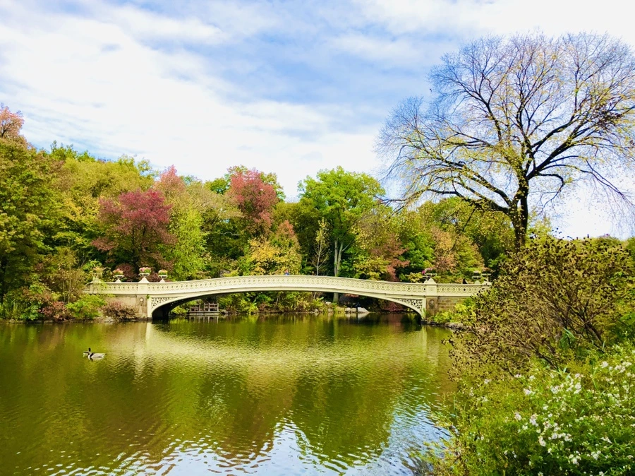 IMG_3045.jpg?type=w966