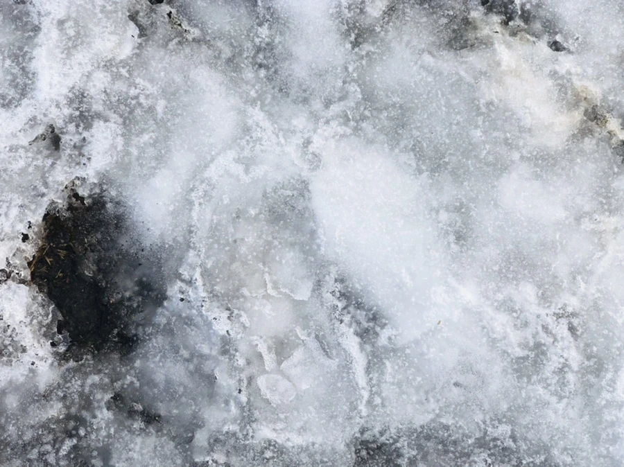 IMG_2846.jpg?type=w966