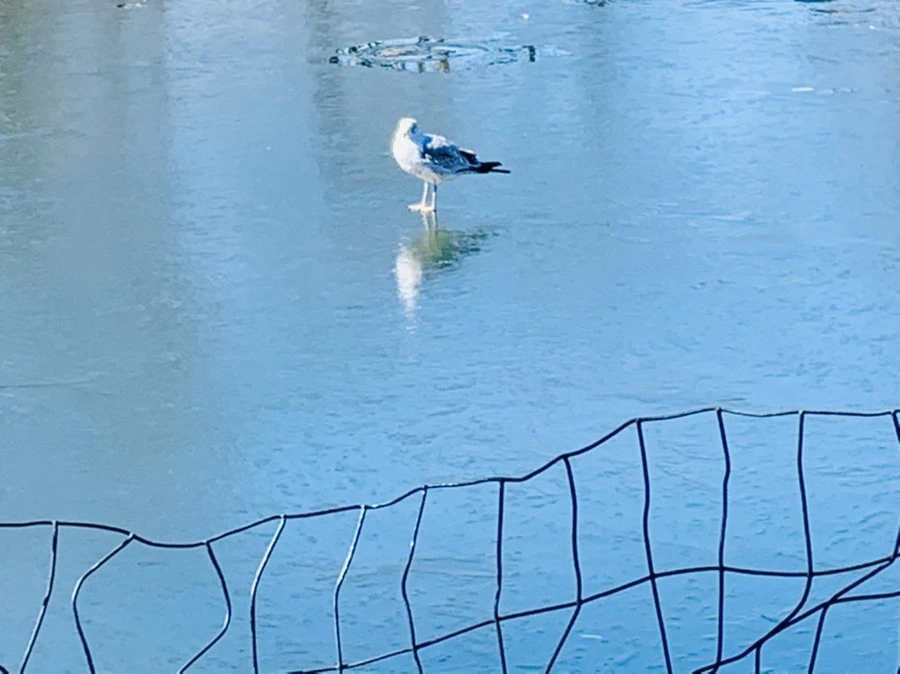 IMG_8906.jpg?type=w966