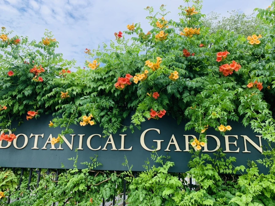 IMG_9603.jpg?type=w966