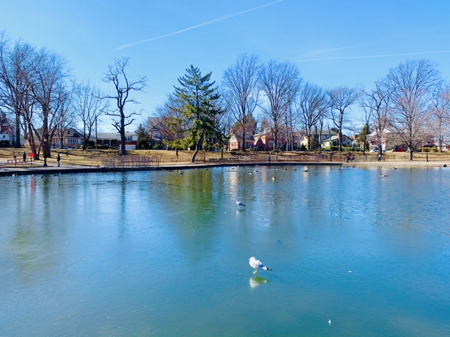 IMG_8963.jpg?type=w966