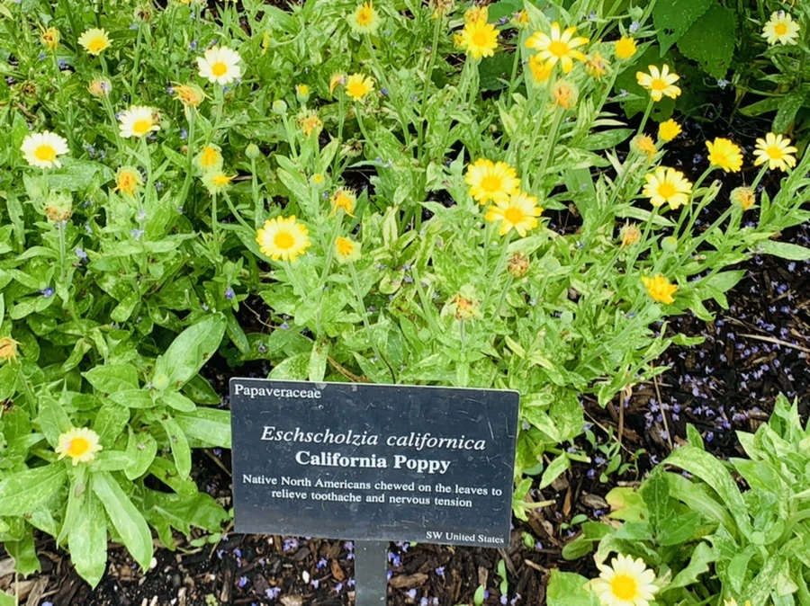 IMG_1041.jpg?type=w966