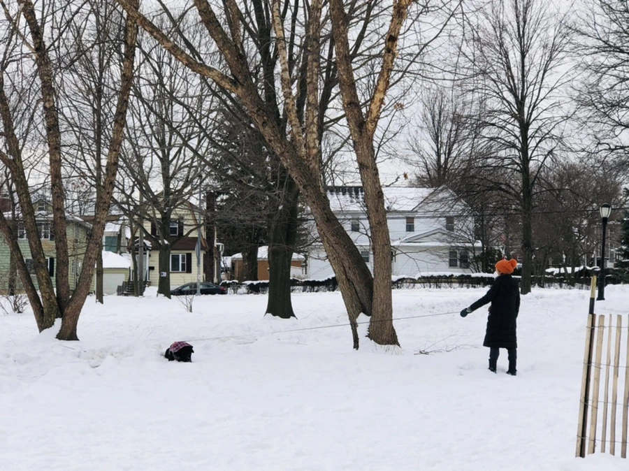 IMG_2330.jpg?type=w966