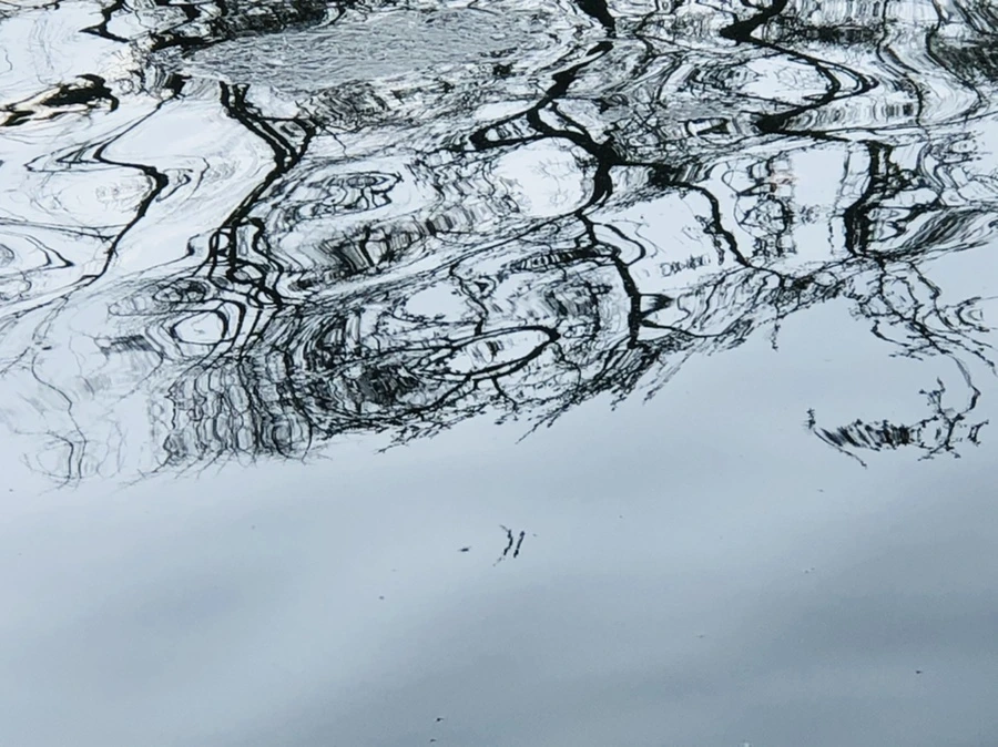 IMG_2644.jpg?type=w966