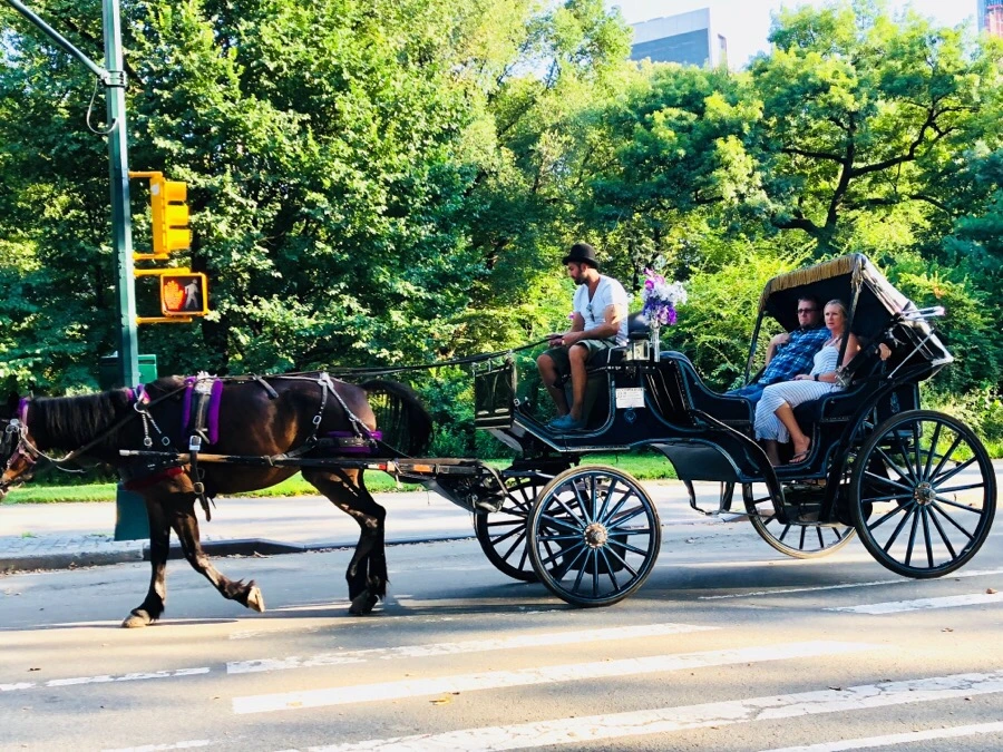 IMG_1088.jpg?type=w966