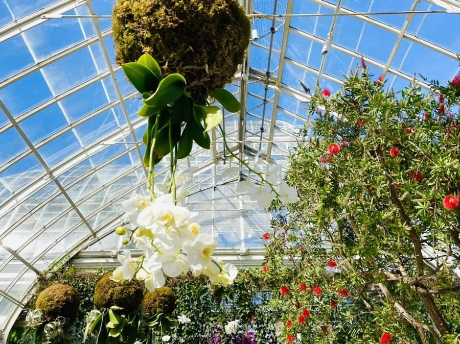 bcm8h9fReChu5_Kg_qGHjbO_6rk