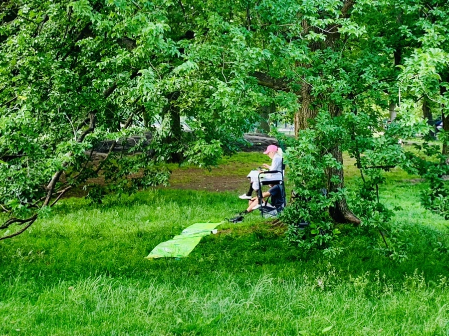 IMG_1668.jpg?type=w966