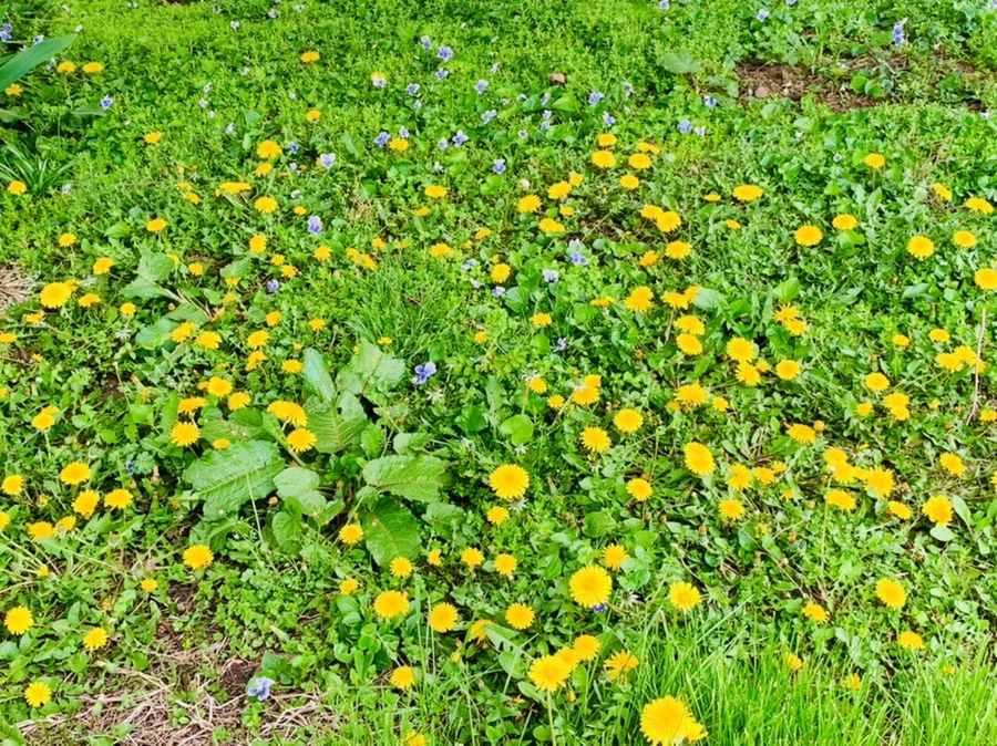 IMG_3952.jpg?type=w966