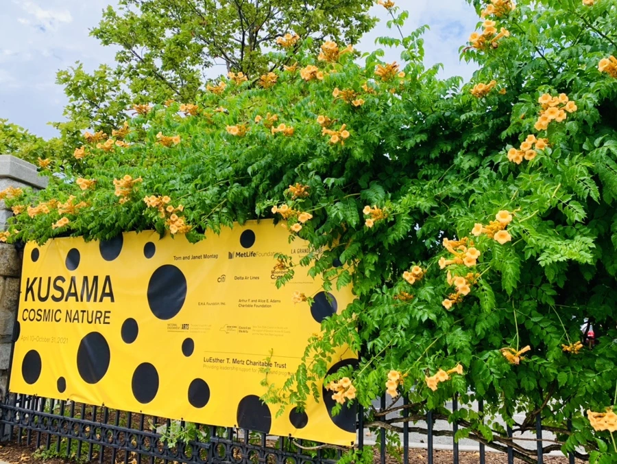 IMG_9601.jpg?type=w966