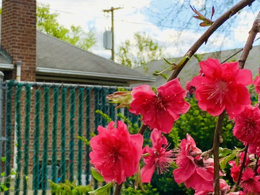 IMG_7984.jpg?type=w966