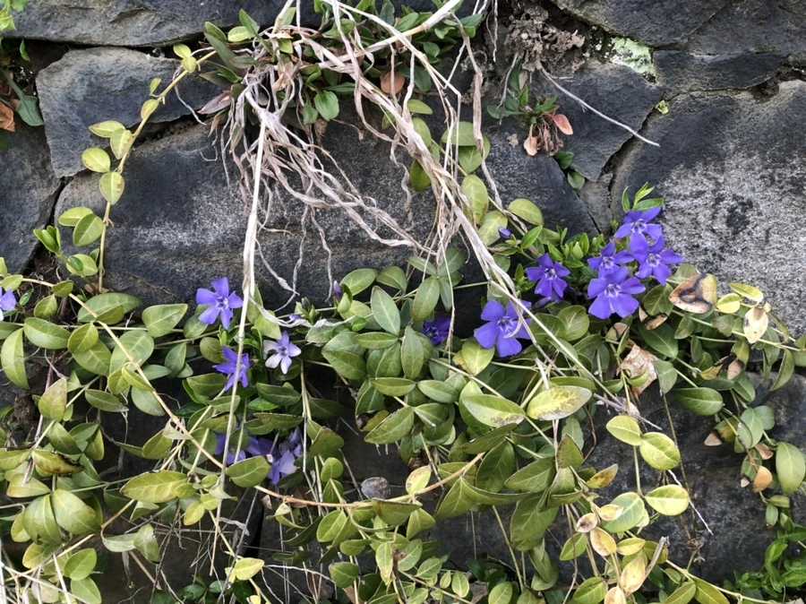 IMG_2158.jpg?type=w966