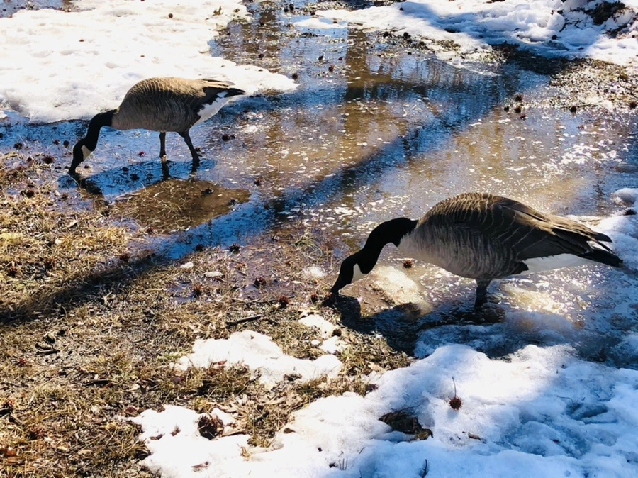 IMG_4533.jpg?type=w966