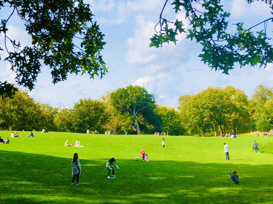 IMG_1925.jpg?type=w966