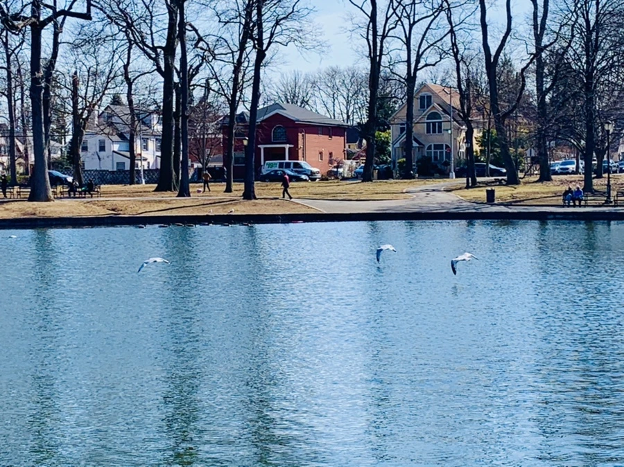 IMG_9590.jpg?type=w966