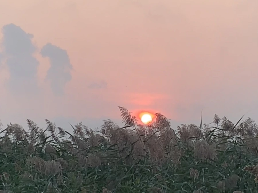 IMG_1082.jpg?type=w966