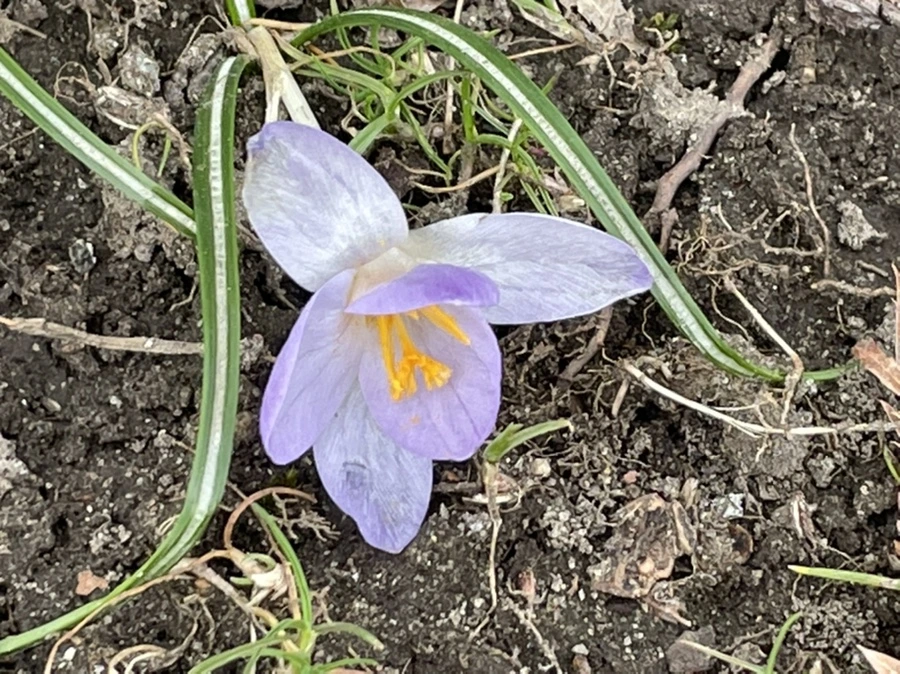 IMG_4068.jpg?type=w966