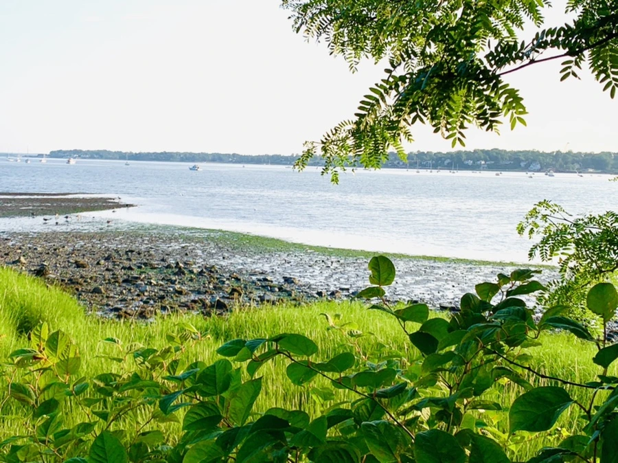 IMG_9837.jpg?type=w966