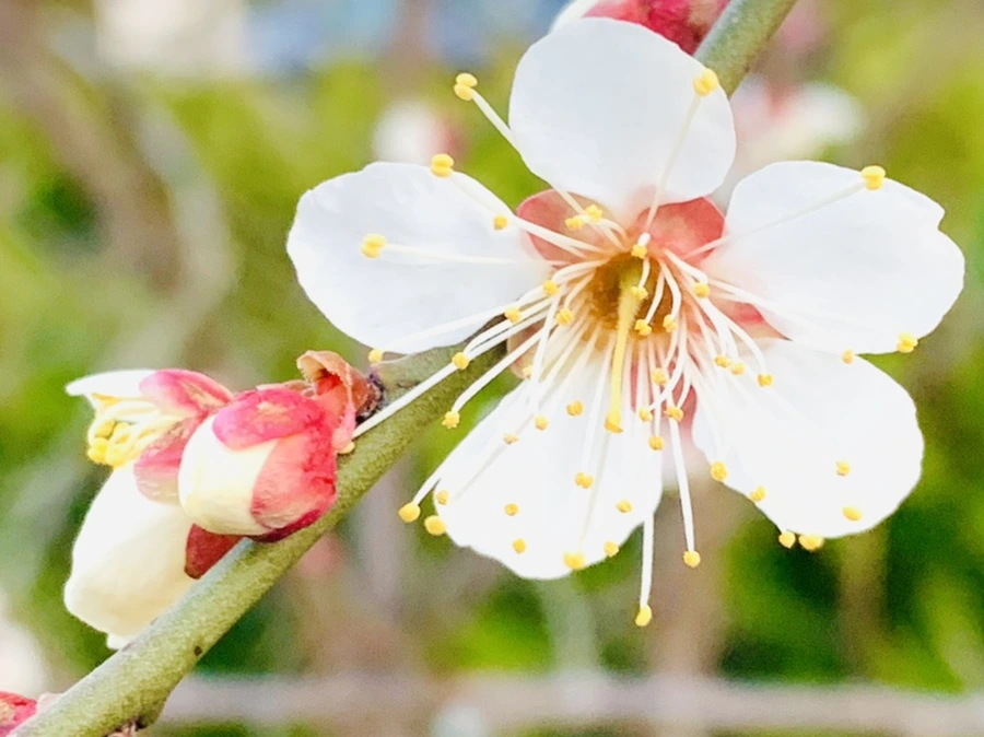 IMG_2364.jpg?type=w966