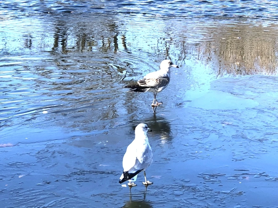 IMG_0580.jpg?type=w966