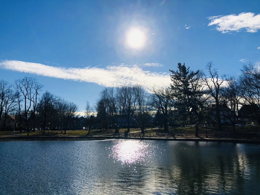 IMG_1239.jpg?type=w966