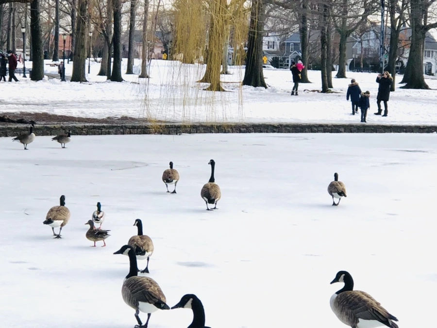 IMG_2934.jpg?type=w966