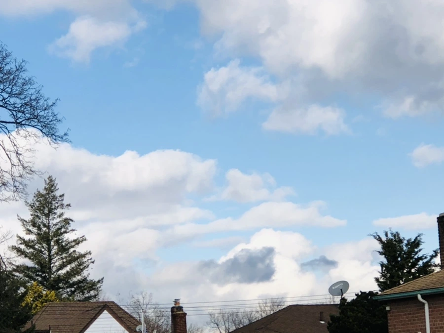 IMG_3679.jpg?type=w966