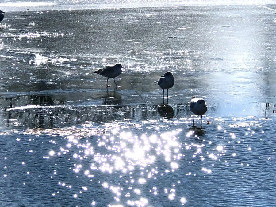 IMG_6870.jpg?type=w966